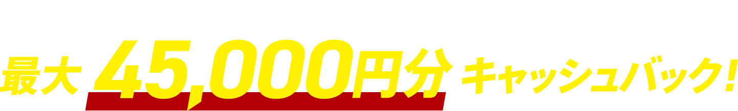 対象レグザ購入で最大45000円分キャッシュバック！