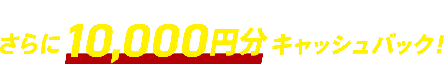 対象のレグザとサウンドシステムをセット購入でさらに10000円分キャッシュバック！