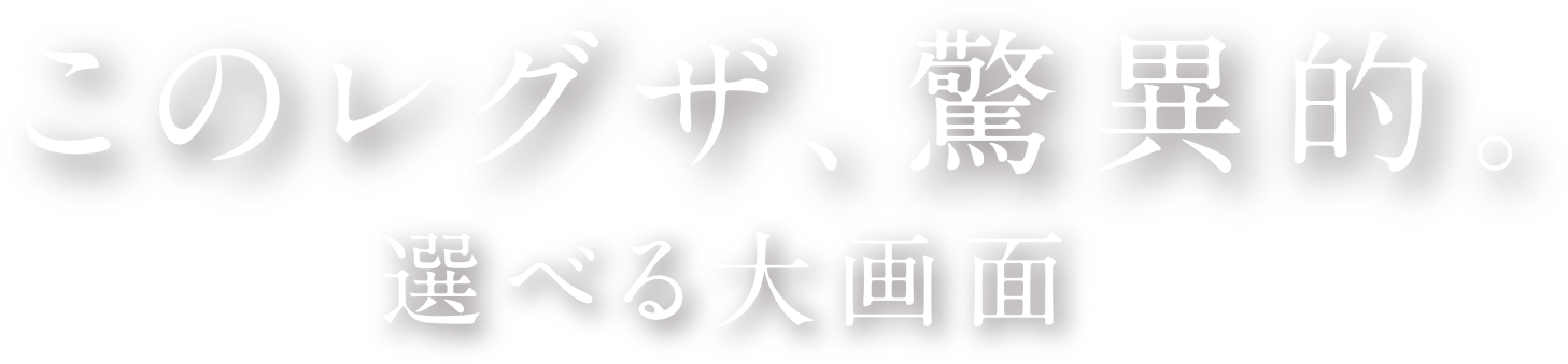 このレグザ、脅威的。選べる大画面