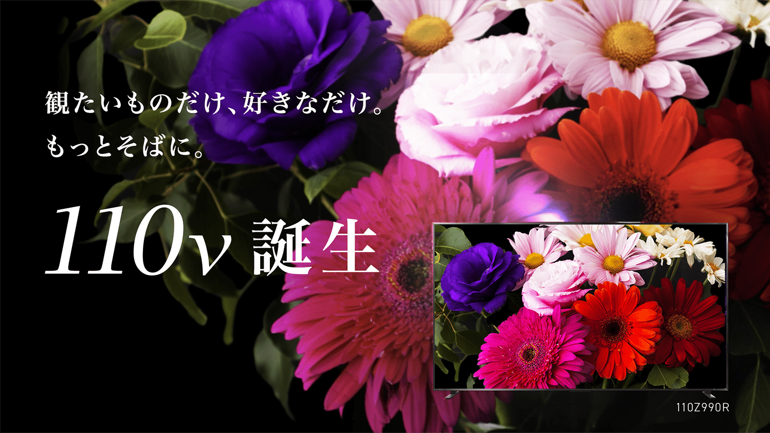 観たいものだけ、好きなだけ。もっとそばに。110v誕生