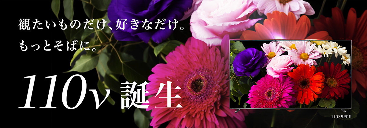 観たいものだけ、好きなだけ。もっとそばに。110v誕生