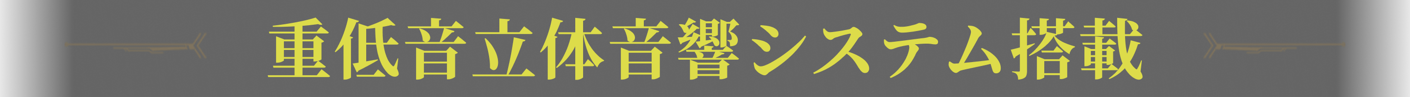 重低音立体音響システム搭載