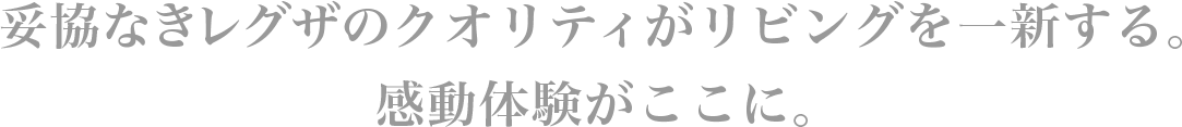 妥協なきレグザのクオリティがリビングを一新する。感動体験がここに。