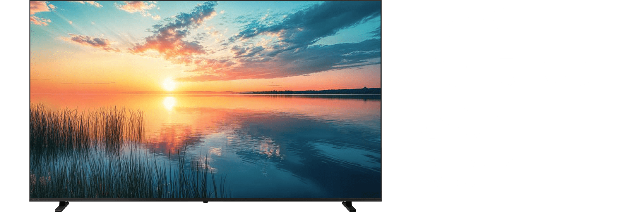 レグザ史上最大の感動を 4K Mini LED液晶レグザ 110Z990R