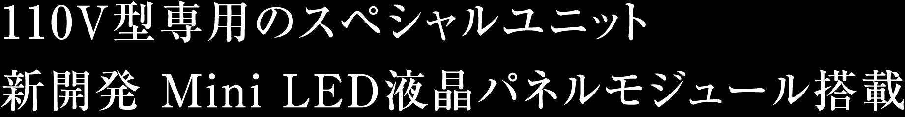 110V型専用のスペシャルユニット 新開発 Mini LED液晶パネルモジュール搭載